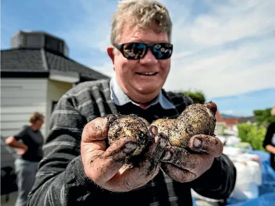  ?? PHOTO: BRADEN FASTIER/ FAIRFAX NZ ?? Ken Redwood inspects potatoes grown by Stoke Retirement Village residents as their potatoes grown in a bucket were judged after a two month growing competitio­n.