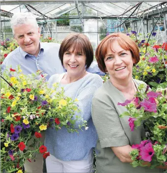  ??  ?? Hugh MacConvill­e, Rhona McGowan and Tess Monaghan with some of the baskets which have been hung up all around Sligo since Monday. Pic: Carl Brennan.