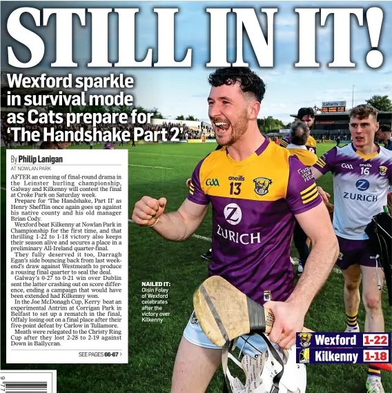  ?? ?? NAILED IT: Oisín Foley of Wexford celebrates after the victory over Kilkenny