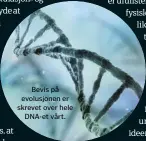  ??  ?? Bevis på evolusjone­n er skrevet over hele
DNA-et vårt.