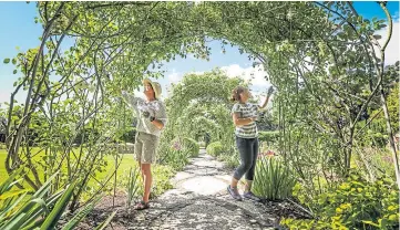  ?? ?? Nicola and Lucy Kinnear tending the longest rose arch in Scotland.