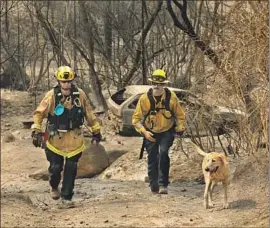  ?? Carolyn Cole Los Angeles Times ?? MARGARET STEWART, left, Ben Arnold and their dog Veya of the Los Angeles Fire Department search Butte County for North Complex fire victims Thursday.