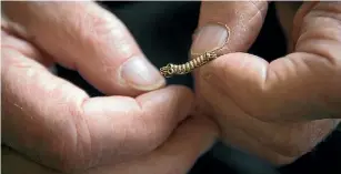  ?? PHOTO: ROSA WOODS/ STUFF ?? Bruce Cunningham holding a Caterpilla­r Pin engraved with his name. This was awarded to every person whose life was saved by a parachute.