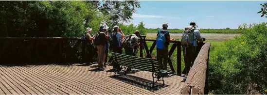  ?? Fotos Carolina Muniz/Folhapress ?? Turistas fazem observação de pássaros na Reserva Ecológica Costaneira Sur, que fica dentro de Buenos Aires