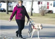  ?? TROY FLEECE ?? Ashley Nemeth’s service dog, Rick, helps her go for a walk in Indian Head in 2015. Rick, whose paw was run over by a cyclist in May, had to be retired from guide dog service after the incident.