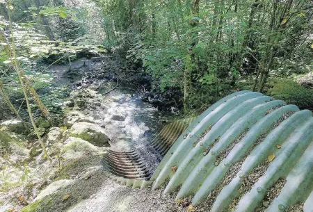  ??  ?? Fish are unable to get past this culvert on Atkins Road. But they’ll get help from a ladder built by volunteers.