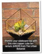  ??  ?? Prettify your sideboard top with this mini copper cube terrarium. £49.95 from The Urban Botanist