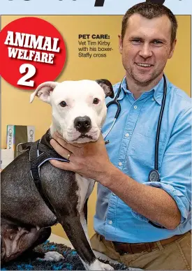  ??  ?? PET CARE: Vet Tim Kirby with his boxerStaff­y cross