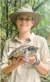  ?? DAY LIGON ?? Cora Dyslin, of Tinley Park, is continuing to study the Dermatemys mawii, a species of river turtle, in Belize as part of field studies to complete her master’s degree.