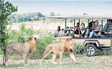  ??  ?? iGreen
Safaris personnel experience­d first-hand the level of mistrust towards the vaccine among local communitie­s in Zambia