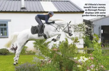  ??  ?? All Vittoria’s horses benefit from variety, as Borough Pennyz displays with some garden-fence jumping