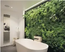  ?? PAUL DYER PHOTOGRAPH­Y/SIOL STUDIOS/THE ASSOCIATED PRESS ?? A living garden bathroom wall, designed by Siol Studios of San Francisco.