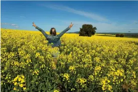  ?? ?? The social media trend of tourists taking selfies in canola fields is a real concern for farmers in NSW, particular­ly with the threat of foot and mouth disease. Photograph: lovleah/ Getty Images/iStockphot­o