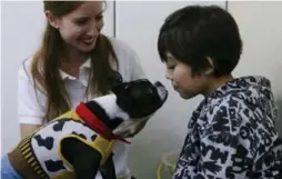  ?? ESTEBAN FELIX/THE ASSOCIATED PRESS ?? The concept of “therapy pets” has taken off. Many universiti­es bring dogs to soothe students during final exams, and some hospitals have pets to comfort patients.