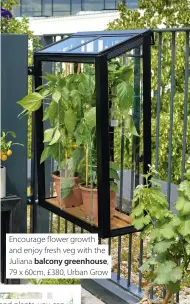  ??  ?? Encourage flower growth and enjoy fresh veg with the Juliana balcony greenhouse, 79 x 60cm, £380, Urban Grow