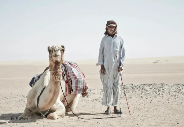  ?? ?? Camel herder, Dubai Desert, UAE.