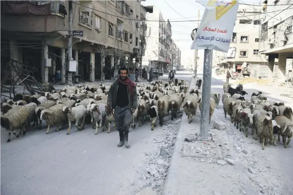  ?? Reuters ?? A shepherd crosses the besieged Syrian town of Douma, Eastern Ghouta, north-east of Damascus