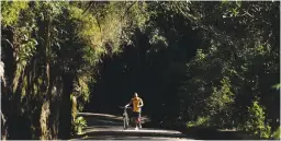  ?? (Pilar Olivares/Reuters) ?? A MAN WALKS with his bicycle through the Tijuca Forest in Rio de Janeiro.