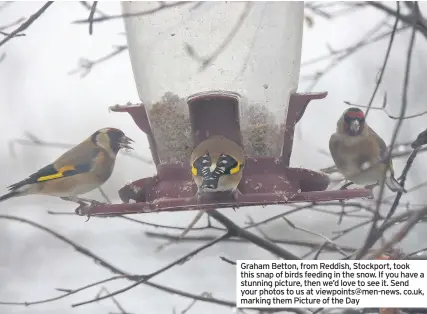  ??  ?? Graham Betton, from Reddish, Stockport, took this snap of birds feeding in the snow. If you have a stunning picture, then we’d love to see it. Send your photos to us at viewpoints@men-news. co.uk, marking them Picture of the Day