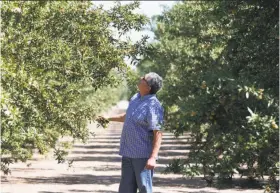  ?? Paul Chinn / The Chronicle ?? Almond farmer Jon Camacho says his support for GOP Rep. Jeff Denham hinges on the congressma­n’s ability to get him a cut of the aid President Trump is promising farmers affected by his tariff wars.