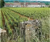  ??  ?? L’UNESCO a récompensé les régions de Bourgogne (photo) et de Champagne pour avoir «su préserver et mettre en valeur un patrimoine culturel et naturel universel».