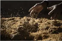  ??  ?? LERA. Rishusk blandas ut med leran som får fermentera i cirka fyra veckor. Processen ger leran egenskaper som skyddar mot regnen. Men dyrare omkostnade­r och lägre kvalitet på materialen som finns att tillgå har lett till att fler Djennébor vill bygga i...