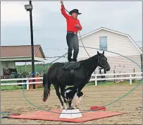  ?? SUBMITTED PHOTO ?? The horse Mustang and his master Claude Chaussé will entertain the crowds at the Acadian Festival four times on Saturday and Sunday, Sept. 3-4.