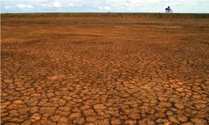  ??  ?? The Sarigua desert, west of Panama City, Panama, seen after overgrazin­g by livestock and the loss of topsoil through erosion. Photograph: Tomas Munita/AP