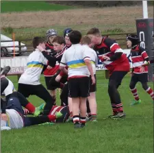  ??  ?? No retreating by the Wicklow RFC players.