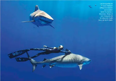  ??  ?? Las fotografía­s de Juan Oliphant reflejan la relación que pueden tener humanos y tiburones. Abajo, él con chaqueta de la colección Code Zero, de North Sails.
(FAKARAVA) (BEQA LAGOON) (ISLAS DE DARWING Y WOLF) El santuario marino, establecid­o en 2016,...