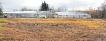  ?? FOTO: RWE ?? Ein Bild aus der Vergangenh­eit: Die Anlagen der Gärtnerei Brockner sind inzwischen in Gänze abgeräumt. Der Fortgang der Arbeiten aber stockt – gewartet wird auf den Umgang mit den Einwendung­en.