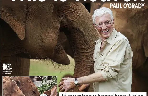  ?? ?? TRUNK THRALL Paul grins beside ellies in Thailand