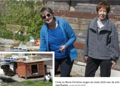  ?? © JAN VAN DER PERRE ?? Cindy en Marie-Christine zorgen als sinds 2019 voor de acht zwerfkatte­n.