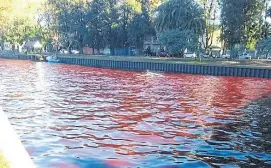  ?? Twitter ?? El agua del río en el Tigre, ayer a la mañana