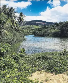  ??  ?? A pond glistens at Plage de la Grande Anse on Basse-Terre.