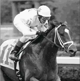  ?? COADY PHOTOGRAPH­Y ?? One Liner is among the 3-year-olds Todd Pletcher must juggle.