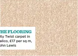  ??  ?? City Twist carpet in Calico, £17 per sq m, John Lewis