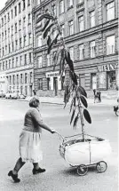  ?? FRANZ HUBMANN ?? „Ungewöhnli­cher Pflanzentr­ansport“1961 in Wien