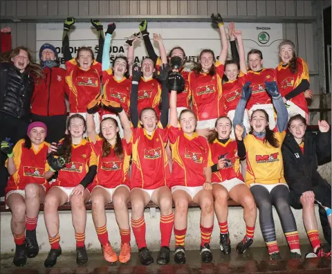  ??  ?? The Davidstown-Courtnacud­dy Minor football team who defeated Baile Dubh Tire in the Division 3 Cup final.