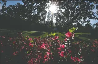  ?? LUCY NICHOLSON/REUTERS FILES ?? The azaleas are in bloom this time of year at the famed Augusta National Golf Club in Augusta, Ga., but the Masters tournament has been postponed due to the coronaviru­s pandemic.