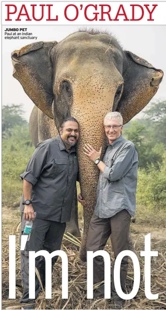  ??  ?? JUMBO PET Paul at an Indian elephant sanctuary