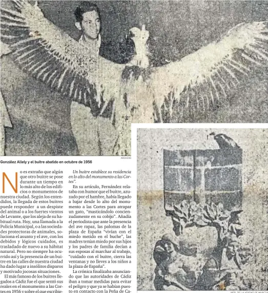 ?? ARCHIVO WEB DE LA VERDAD DE MURCIA ?? González Allely y el buitre abatido en octubre de 1956
El famoso buitre posado en 1956 en el monumento a las Cortes