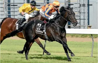  ?? PHOTO: RACE IMAGES ?? Embellish is a $3.20 favourite for Saturday’s 2000 Guineas at Riccarton.