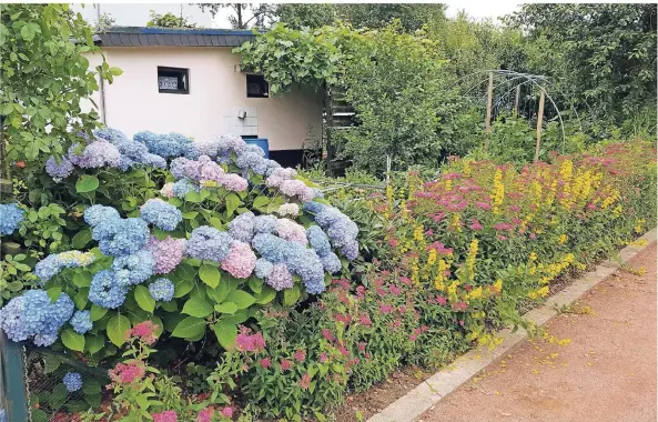  ?? FOTOS: SEBASTIAN ESCH ?? Das große Hauptziel des Kleingärtn­ervereins „Zum Burggrafen“ist der Kampf gegen das Bienen- und Insektenst­erben. Die Devise lautet „ökologisch denken“. Deshalb setzen die Mitglieder vermehrt auf Wildblumen und Sträucher.