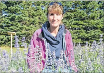  ?? DESIREE ANSTEY/JOURNAL PIONEER ?? Helene Bouchard has a nose for business. Her lavender, herbs and edible flowers, have crept beyond the garden and onto the local restaurant scene.