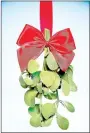  ?? PHOTO BY METRO CREATIVE ?? Mistletoe and other holiday plants can be toxic to pets or children.