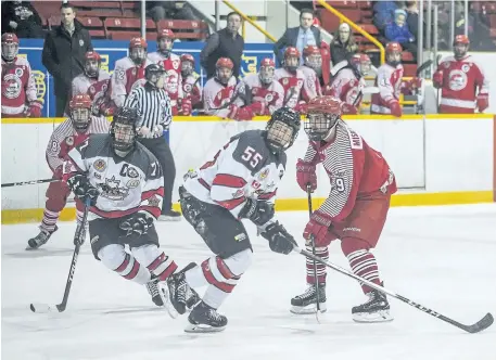  ?? BOB TYMCZYSZYN/STANDARD STAFF ?? Niagara Falls Canucks Dante Copps (55) St. Catharines Falcons Jr. B action Jan. 19 at the Gatecliff arena.