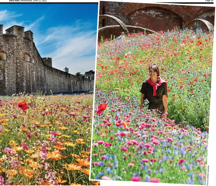  ?? ?? in the Tower of London’s moat — and will be a permanent visitor attraction