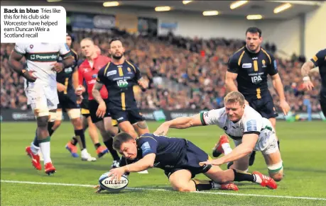  ??  ?? Back in blue Tries like this for his club side Worcester have helped earn Duncan Weir a Scotland recall