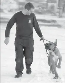  ?? DAVID BEBEE, RECORD STAFF ?? Neil Creighton of Humane Society Internatio­nal runs with Romeo in Cambridge on Tuesday. Romeo was rescued from South Korea.